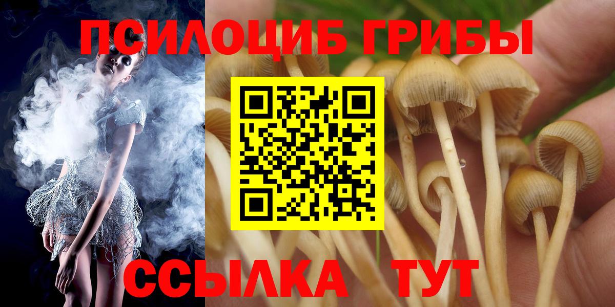 Галлюциногенные грибы Cubensis  Вход с VPN  Тамбов  Галлюциногенные грибы GOLDEN TEACHER 