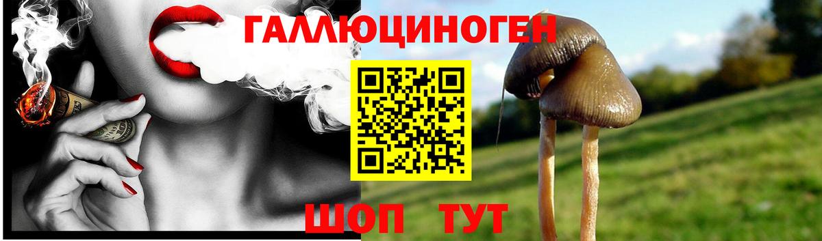 Псилоцибиновые грибы MAGIC MUSHROOMS Тамбов